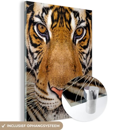 MuchoWow® Glasschilderij 30x40 cm - Schilderij acrylglas - Tijger - Dieren - Kop - Foto op glas - Schilderijen