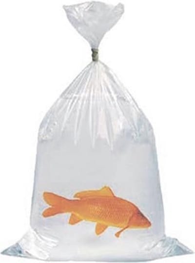 SuperFish Koi Zak 103X53X0,08CM