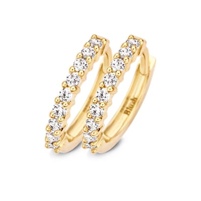 Blush Oorbellen 7166YZI - Geel Goud (14krt.) met Zirconia