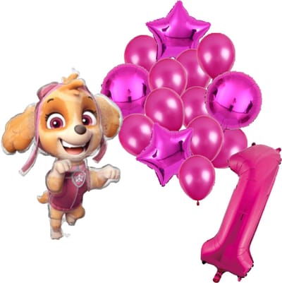 Paw Patrol Skye ballonnen pakket - 61x91cm - Folie Ballon set - Themafeest - Verjaardag - 1 jaar - Ballonnen - Versiering - Helium ballon