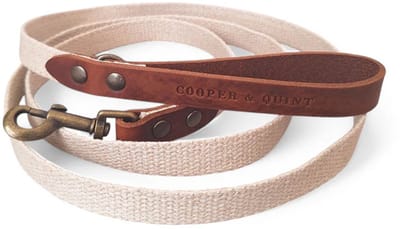 Cooper & Quint Adventure Hondenriem - Bruin - 2 cm - Oud Messing