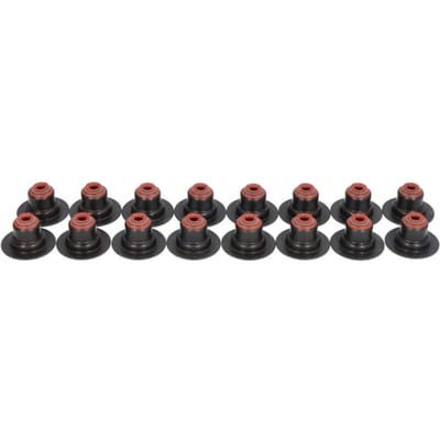Victor Reinz Pakkingset, klepsteel REINZ 12-34406-01
