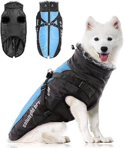 Honden Winterjas - Hondenjas Warm - Bescherming tegen Weer - Met Ingebouwd Harnas - 4XL - Blauw