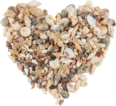 250g Gemengde Schelpen Decoratie met Sterren en Natuurlijke Kleine Schelpen voor Creatieve Klussen en Strandthema Feesten