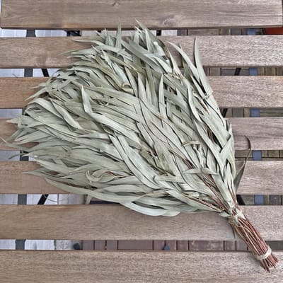 Eucalyptus Saunatakken - Aromatische Sauna Takken voor Sauna & Wellness