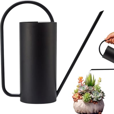 Gieter Lange Hals - Waterkan Roestvrij Staal - Planten Water Geven - Lange Smalle Tuit - 1500 ml - Zwart