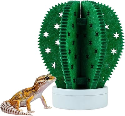 Reptielen Luchtbevochtiger - Terrarium Vochtigheid - Gezond Klimaat - Werkt zonder stroom - 14 cm hoog - Cactusbol