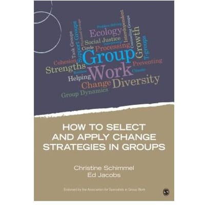 How To Select And Apply Change Strategies In Groups - Schimmel