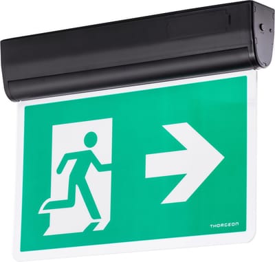 Thorgeon LED Noodverlichtingsarmatuur | 4.5W 6000K | IP40 Wandopbouw/plafondopbouw