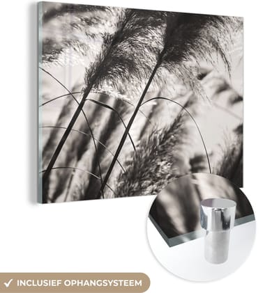 MuchoWow® Glasschilderij 40x30 cm - Schilderij acrylglas - Pampasgras - Zwart - Wit - Plant - Foto op glas - Schilderijen