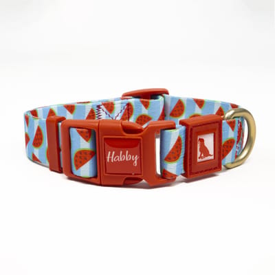 Luxe Halsband voor Honden-Verstelbaar 27 Cm-39 Cm x 2,5 Cm-Watermelon