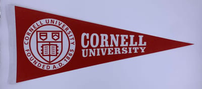 Cornell University - University of Cornell - Cornell Uni - Vaantje - Sportvaantje - Wimpel - Vlag - Pennant - Ivy League amerika - 31 x 72 cm - Cadeau sport - Cadeau - Cornell logo - andy bernard - bernard cornell - the office us - the office cornell