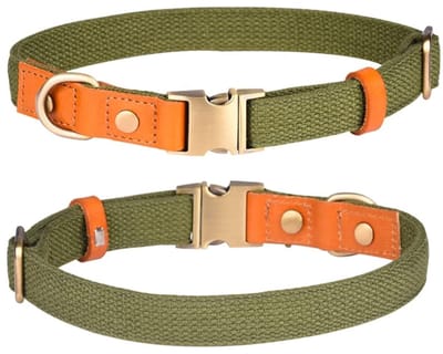 Dailygoods- Halsband Verstelbaar - Nylon/Huisdierhalsband - Veiligheidsgesp - Roestvrij Stalen Sluiting - Lichtgewicht - Ademend Materiaal - Hondenhalsband