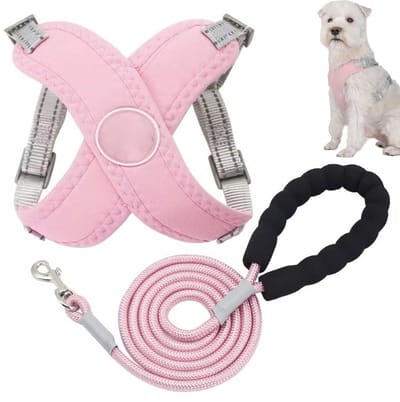 Hondentuigje Pet X Frame - XL - Hondentuig en lijnset - Hondenharnas - Anti-verstikking - Met 1.5m riem - Verstelbaar - Reflecterend - Verstikkingsvrij - Gewatteerd vest - Voor kleine en middelgrote honden en katten, ideaal voor wandelen en training