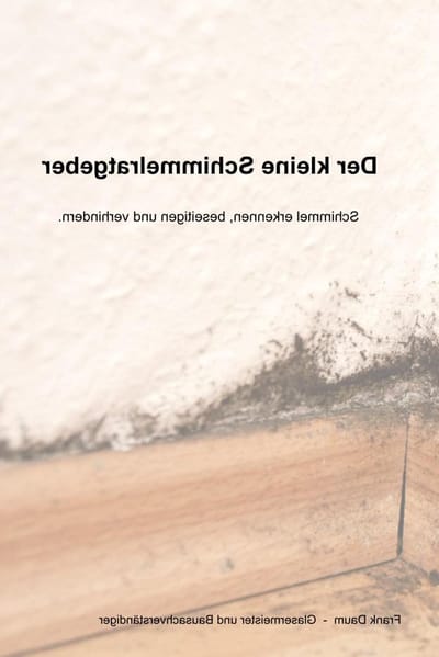 Schimmel Ratgeber - Schimmel Gids - Wonen Verbeteren - Praktische Aanpak - 24 Pagina's - Niet Van Toepassing