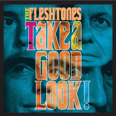 Take A Good Look - Fleshtones