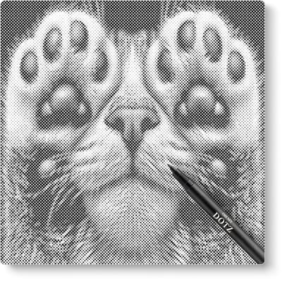 Kat Verstoppertje | Dot painting | 40x40cm | Dot painting | Oh My Dotz | Dots stippen | Diamond painting & Schilderen op nummer alternatief | Happy hobby