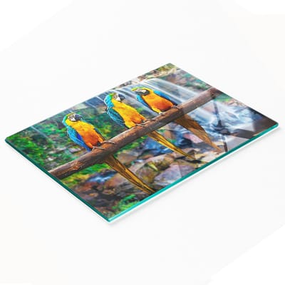 Decoratieve glazen snij- en serveerplank met papegaai op een tak, 80x52 cm