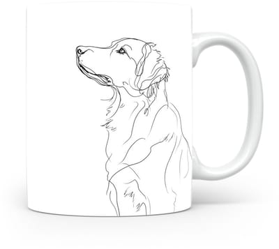 Beker Nova Scotia Duck Tolling Retriever