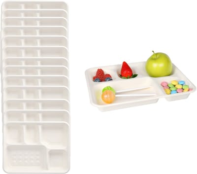 Papstar Wegwerp vakjes borden - 50x stuks - 22 x 28 x 2 cm - suikerriet - biologisch afbreekbaar