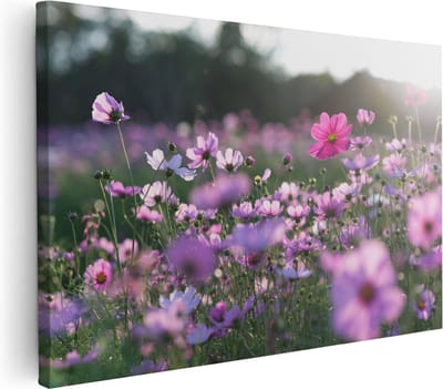 Artaza Canvas Schilderij Cosmea Bloemen - 30x20 cm - Klein - Muurdecoratie Bloemenveld - Schilderijen Op Canvas Natuur - Roze