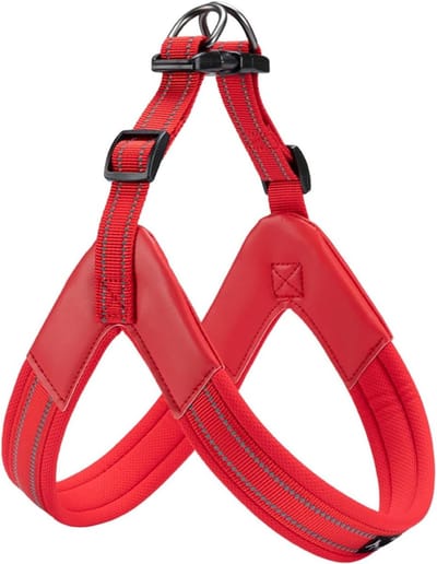 Zachte, Gevoerde V-vormige Hondentuig voor Middelgrote en Grote Honden - Ideaal voor Training en Wandelen (XL, Rood)