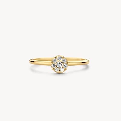 Blush gouden ring Blush Ring 1277YZI/54 | ringmaat 54 | sieraden dames accessoire tijdloos design glanzende afwerking