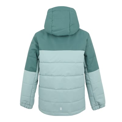 Regatta Lofthouse geïsoleerde jas voor kinderen/Kinderen (Gewone groen/groene waas)