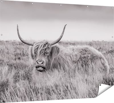 Gards Tuinposter Schotse Hooglander Koe - Zwart Wit - 160x120 cm - Tuindoek - Tuindecoratie - Wanddecoratie buiten - Tuinschilderij