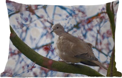 Buitenkussens - Tuin - Vogel - Bloemen - Duif - Bloesem takken - Roze - 50x30 cm
