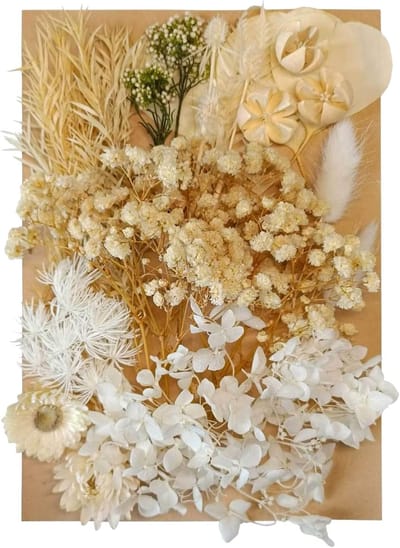 Gedroogde bloemen - bladeren - geperste gedroogde bloemen - gemengd - meerdere natuurlijke decoratieve kunstbloemen - gedroogde bloemen voor knutselen - harstaarten - doe-het-zelf sieraden - nagelkunst - creatief decoreren - ambachtelijke materialen