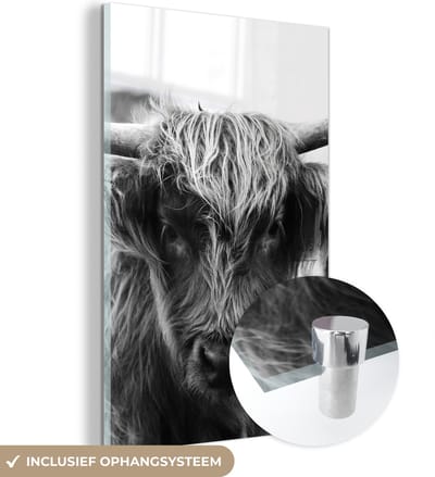 MuchoWow® Glasschilderij 120x180 cm - Schilderij acrylglas - Schotse Hooglander - Koe - Gras - Dieren - Natuur - Foto op glas - Schilderijen