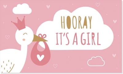 BTH - Gevelvlag Hooray It's A Girl - 150x90cm - XXL Polyester Vlag - Vlag - Feestvlaggen - Gender Reveal - Geboorte - 1x