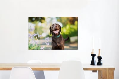 Canvas Schilderij Een Labrador Retriever met mooie bloemen - 60x40 cm - Wanddecoratie