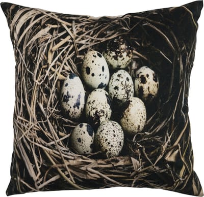 canvas kussen eieren in nest 50x50cm