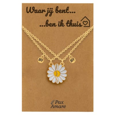 Koppel Ketting voor 2 'Waar jij bent, ben ik thuis' - Magnetische Bloem - Vriendschapsketting op Cadeau Kaartje - 45cm + 5cm verstelbaar - Goudkleurig - Persoonlijke Hanger - Pax Amare