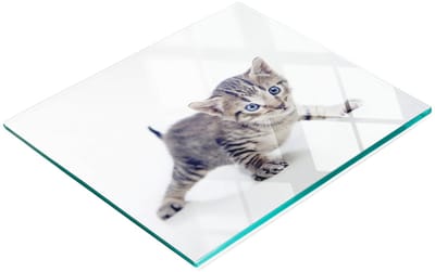 Decoratieve snijplank van gehard glas met kattenmotief, 60x52 cm