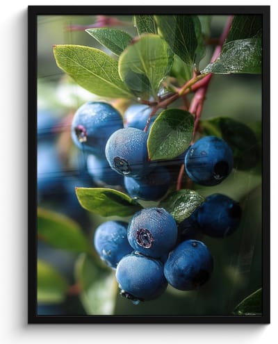 Poster in lijst - Fotolijst 50x70 cm - Posters - Blauwe bessen - Dauwdruppels - Natuurlijk licht - Posterlijst zwart - Decoratie - Wanddecoratie woonkamer - Muurdecoratie slaapkamer