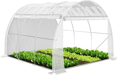 Famanu - Broeikas foliekas, zijwanden oprolbaar winterbestendig, tomatenhuis folietunnel, 3 x 3 x 2 m 9 m², wit