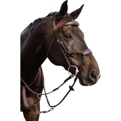 Kentucky - Hybride elastische neusriem NE coll, Cob/bruin