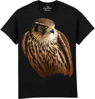 Valk Merlin Falcon - Smelleken The Coloured House T-shirt XXL