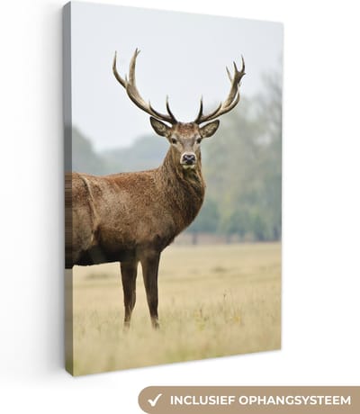Canvas schilderij 20x30 cm - Wanddecoratie Hert - Dieren - Gewei - Muurdecoratie woonkamer - Slaapkamer decoratie - Kamer accessoires - Schilderijen op canvas