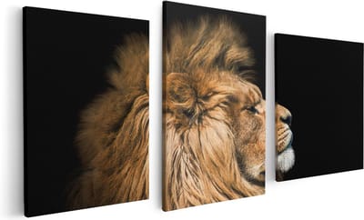 Artaza Canvas Schilderij Drieluik Leeuw - Leeuwenkop - 120x60 - Foto Op Canvas - Canvas Print