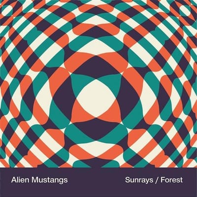 Sunrays/Forest
