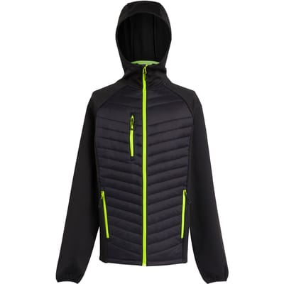 Regatta Heren Navigate Quilted Hybride Jas (Zwart/Lijkgroen)