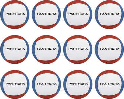Panthera - Jongleerbal - Set van 12 - 130 gram per bal - 6 panelen - Jongleerballen - Jongleer - Jongleren