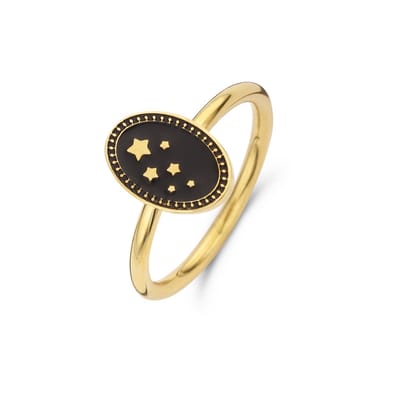 CO88 Collection Majestic 8CR-10017-50 Stalen ring - Maat 50 - Emaille Zwart - Goudkleurig