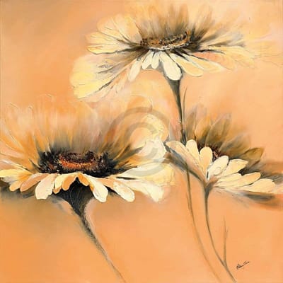 Kunstdruk Elena Filatov - Apricot Summer I 70x70cm