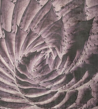 Fotobehang - Cactus Abstract 225x250cm - Vliesbehang