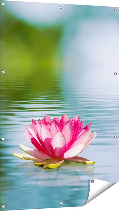 Gards Tuinposter Roze Lotusbloem op het Water - 80x120 cm - Tuindoek - Tuindecoratie - Wanddecoratie buiten - Tuinschilderij